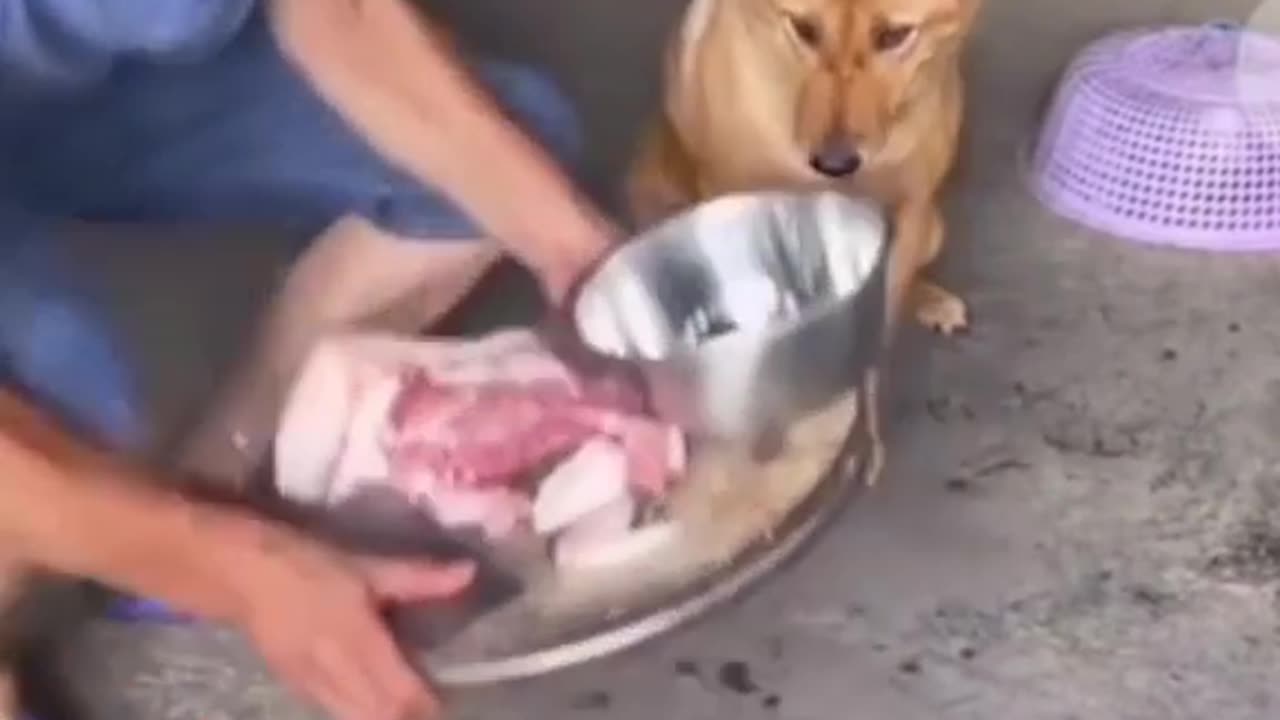 Tình mẹ bao la