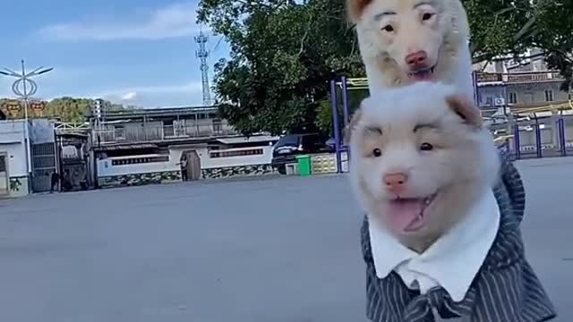 Bigplumchaseslittleplum