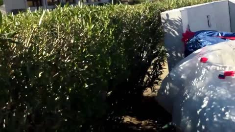 Homeless man builds house on dumpster