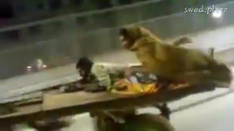 Esse não precisa de gasolina kkkk.