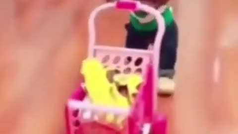 Cute funny dog.. Please watch this