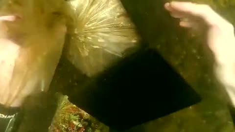 Clean up the underwater garbage and protect the marine natural environment.#16