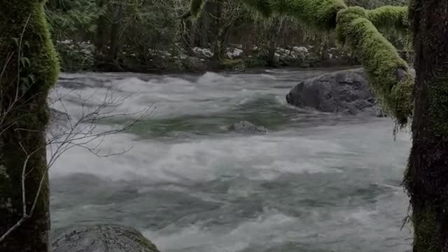 Afternoons by the river