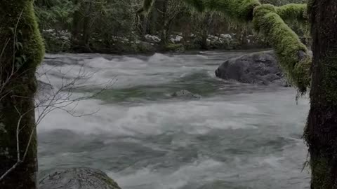 Afternoons by the river