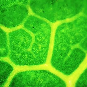 Science is Never Dull Watch if you don't believe