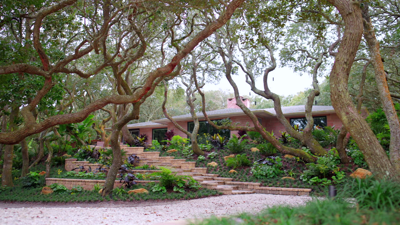 Tangled Oaks : EPIC Shade Garden