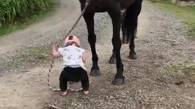 Little girl leads horse