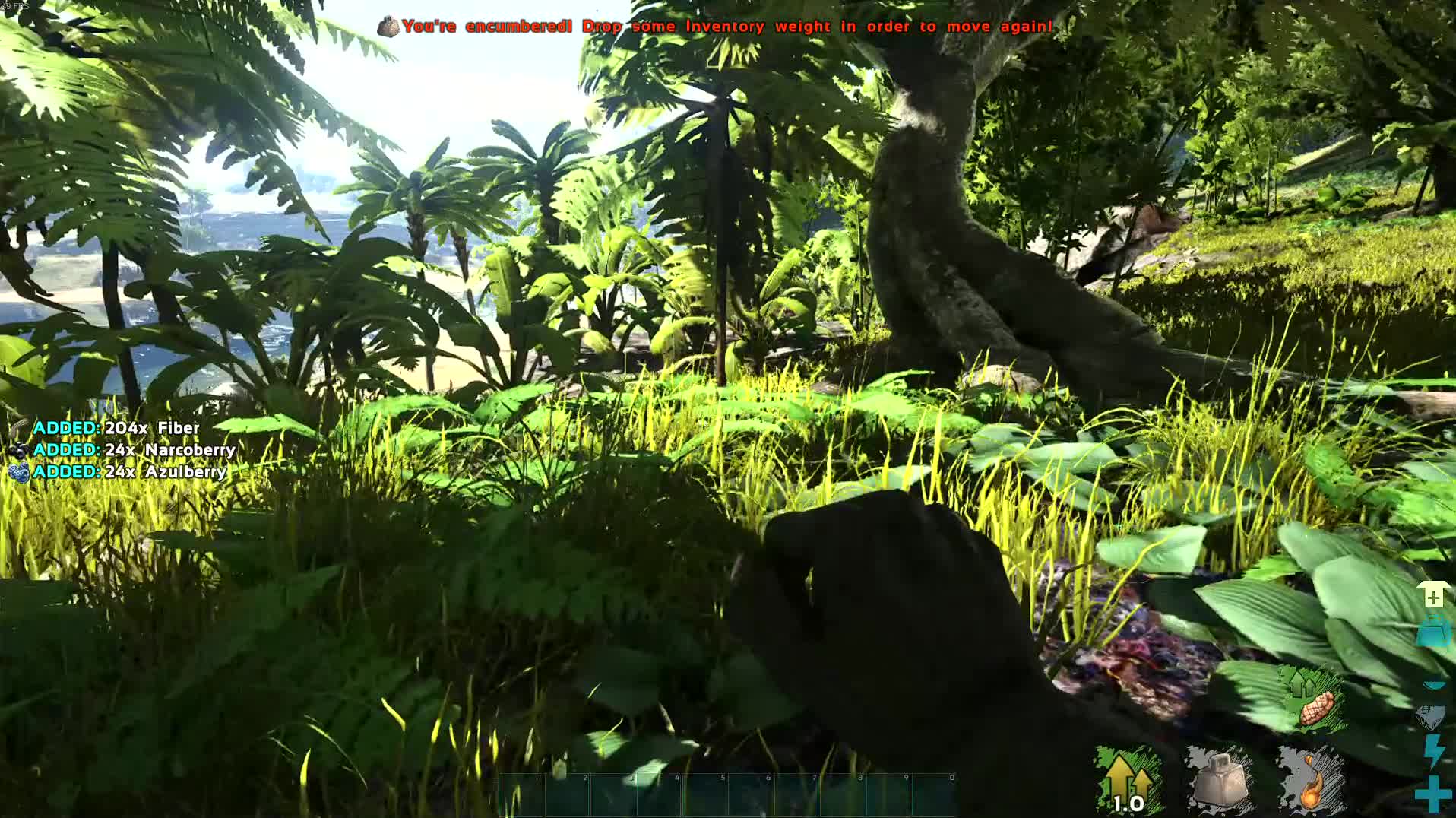 Ark: Survival Evolved Pt.2