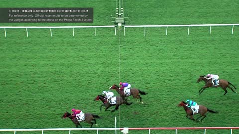 Horce_Race_2022051509_English