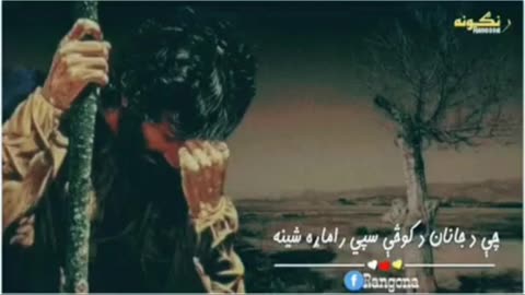 Pashto tappy pashto new song 2023