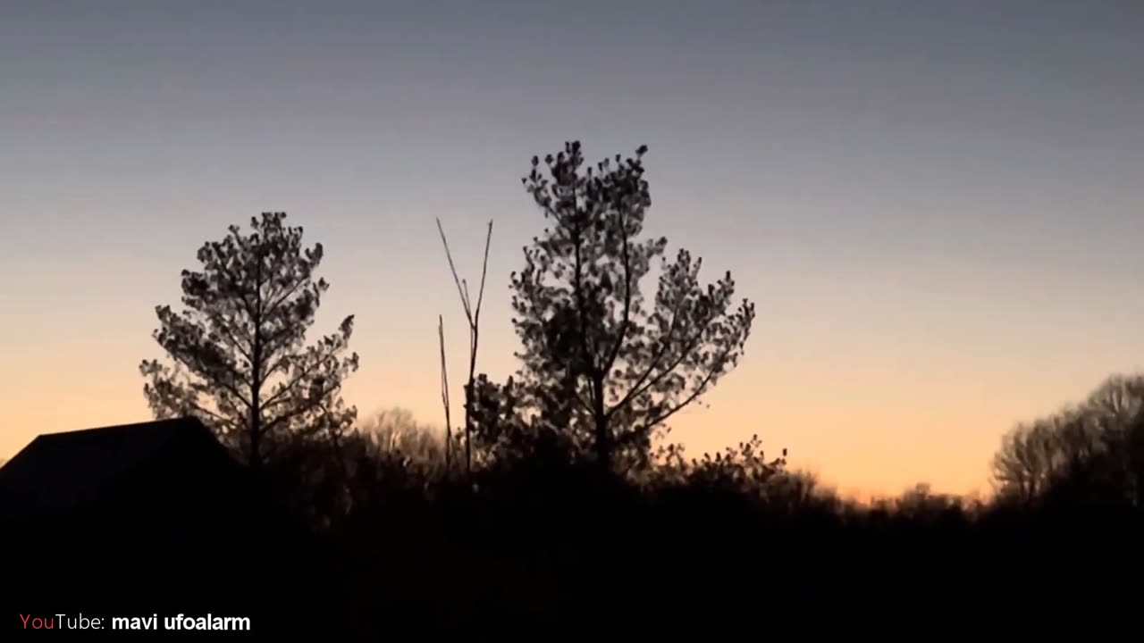 Fly-like UFO in Sweden! a piece of tree flying in the air