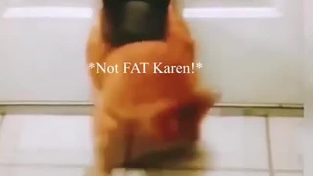 Cat Fails 2