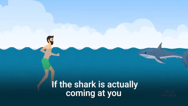 What if shark attack on you😰