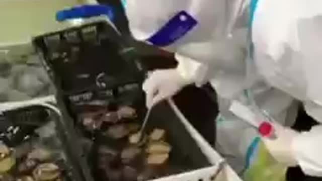טרור הקוביד בסין לא פוסק מתבצעות בדיקות לכל דבר אפשרי כמעט. גם לדגים ואוזני ים פסיכופטים ברמה גבוהה