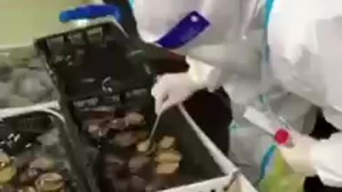 טרור הקוביד בסין לא פוסק מתבצעות בדיקות לכל דבר אפשרי כמעט. גם לדגים ואוזני ים פסיכופטים ברמה גבוהה