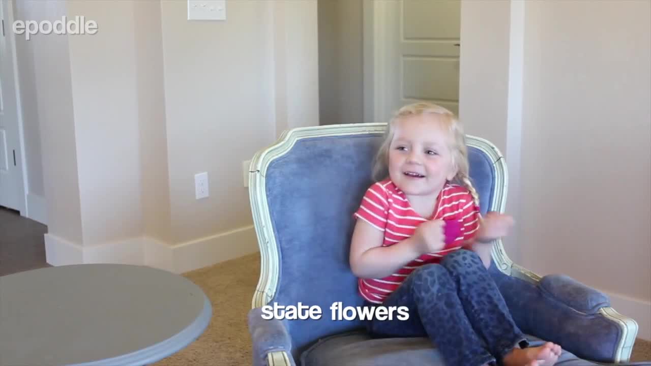 Dad asks adorable kids questions about the USA