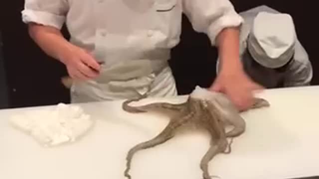 WARNING!!: Japanese Chef Cuts Live Octopus