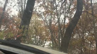 Toyota 4x4 POV hill climb, wheel lift at end