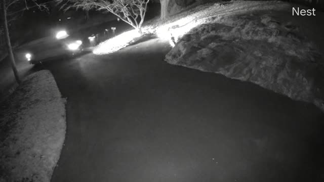 Delivery Driver Tosses Package Out Window