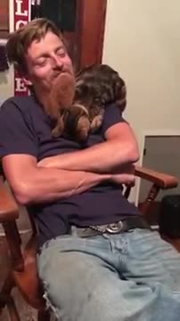 Kitten crawling all over my dad