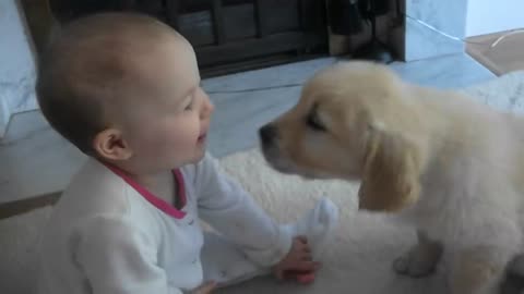 Baby and Puppy meet for the first time