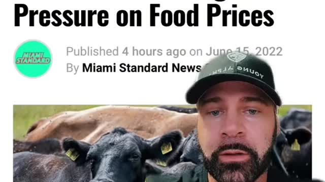 10 000 Cow are dead from a 'heatwave'...!!! BS in plain sight!
