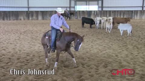 How To Teach A Cutting Horse Horse To Spread His Hind Feet With Chris Johnsrud