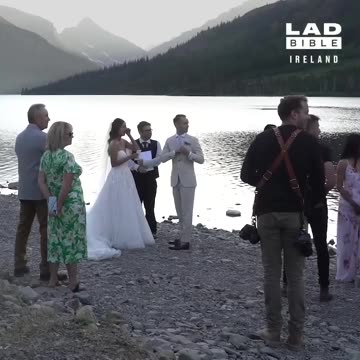 Bear attacks moose at lakeside wedding