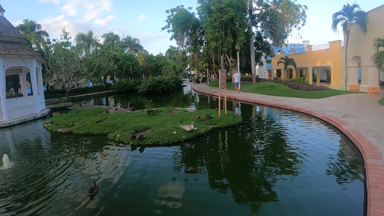 Wild life in Iberostar Hacienda Dominicus resort, Dominican Republic