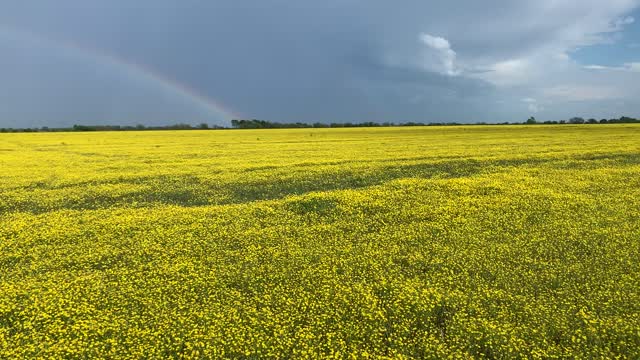 Rainbow view
