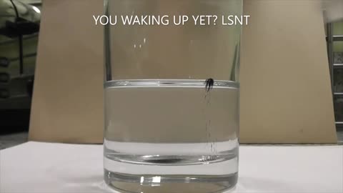 What Is In That Capsule?
