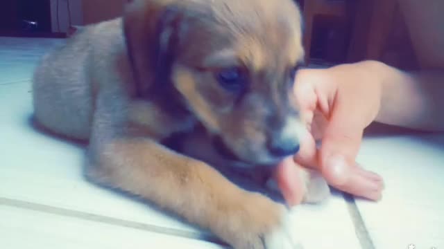 help I was attacked 🤣🤣😍