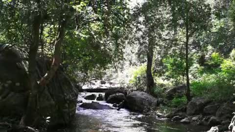 Happy life style munnar trip