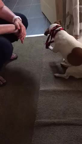 Day life #1 struggles