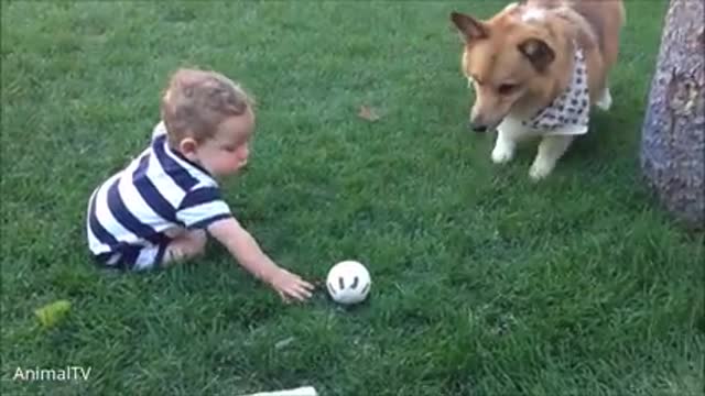 Cute baby with cute puppies