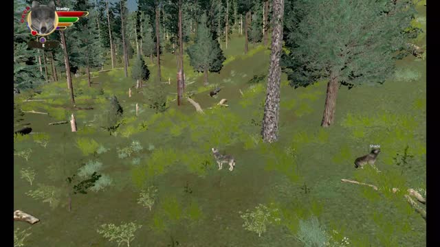 WolfQuest AE Elk Round Challenge - 09