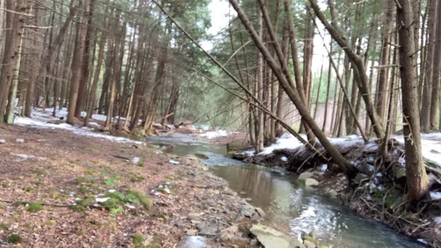 Five Day Thru Hike on the Baker Trail - Video 09 Crossing an untouched creek