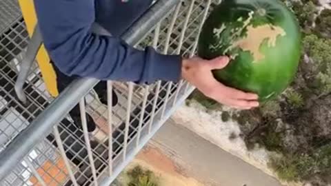 WATER MELON VS EXCERSIGE BALL