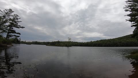 Great View