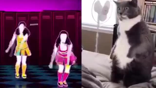 Britney spears + Cat Dance !!