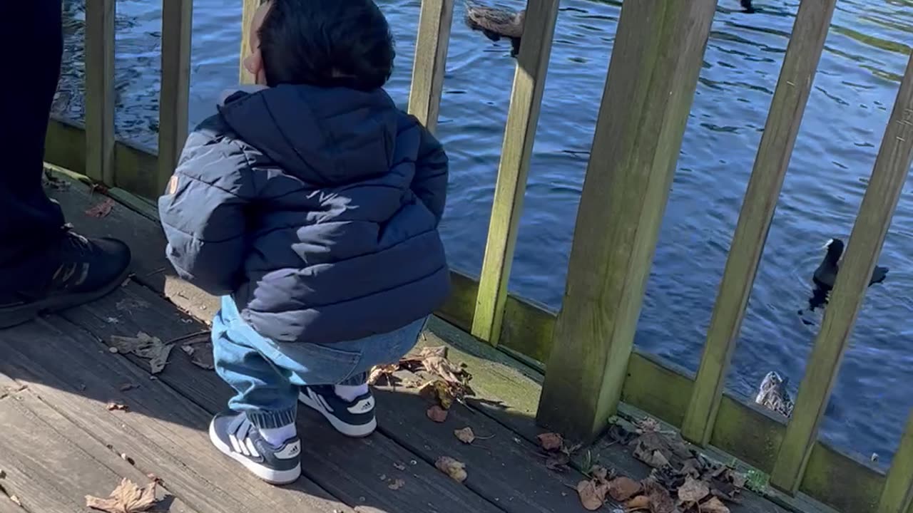 Baby karim’s feeding the ducks 🦆 & pigeons in the park