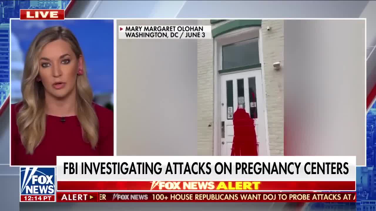 Katie Pavlich: This is a domestic terrorist group trying to intimidate crisis pregnancy centers