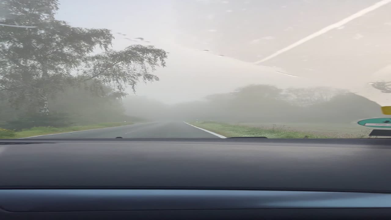 Foggy morning