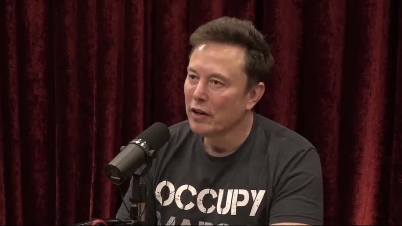 Elon Musk Joe Rogan DOGE department of government efficiency 2024