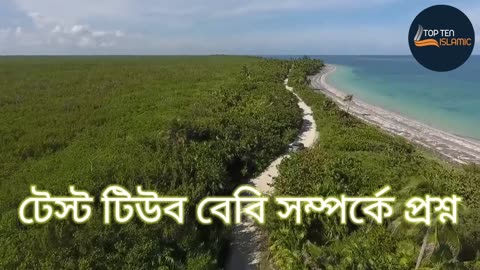 টেস্ট টিউব বেবি সম্পর্কে প্রশ্ন ৷৷ Bangla waz ।। 4k nature HD video