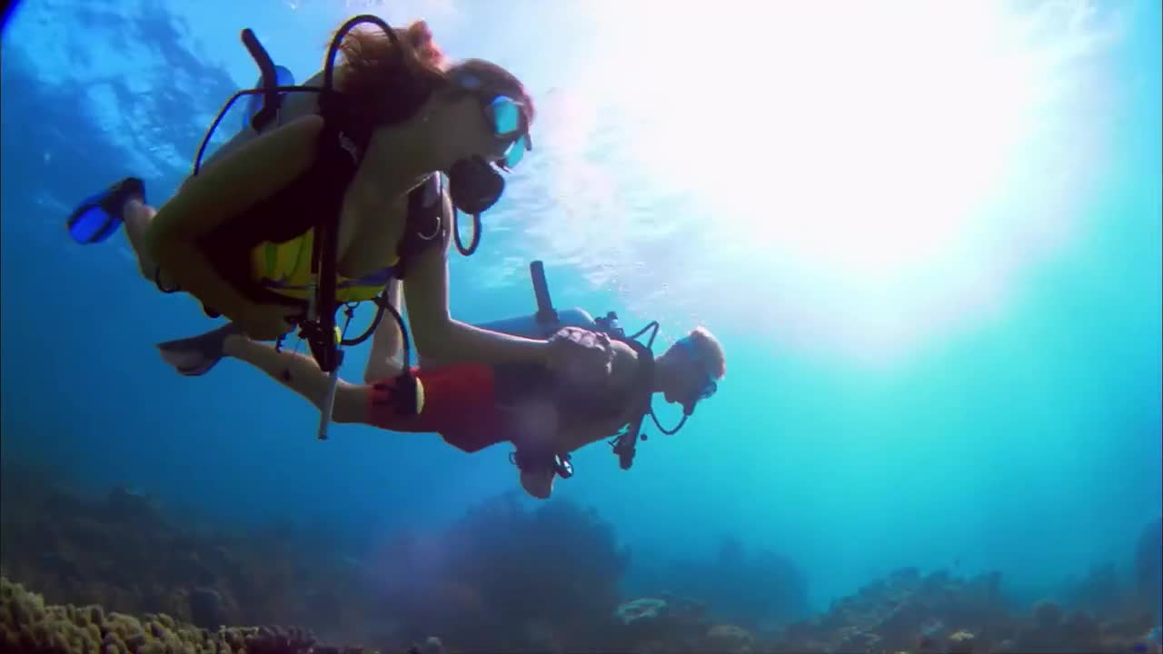 Let's Dive Together