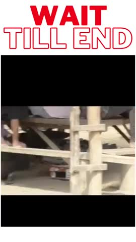 Dog afraid of fake tiger