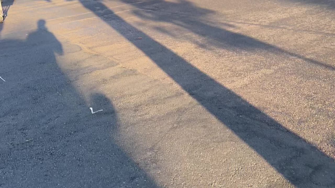 Just rolling through Costco