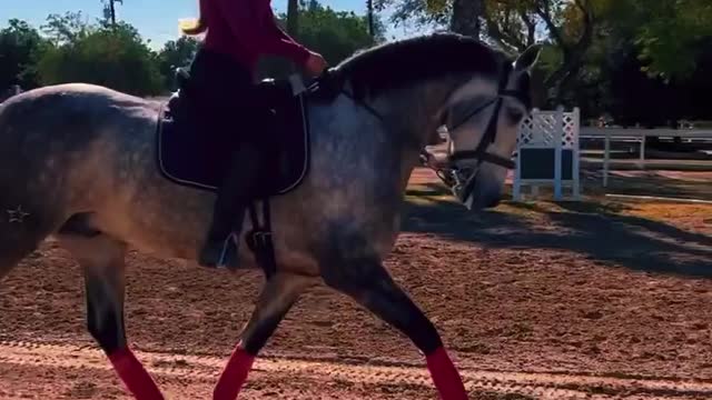 Girl with horse 🐎 😍