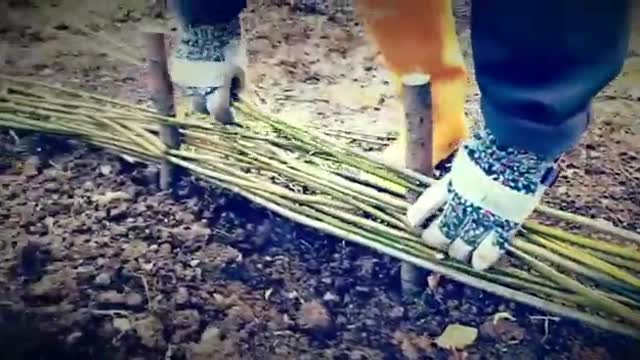 HomeGrown Home: Michelle weaves willow borders, plants seed trays and makes homemade yoghurt!